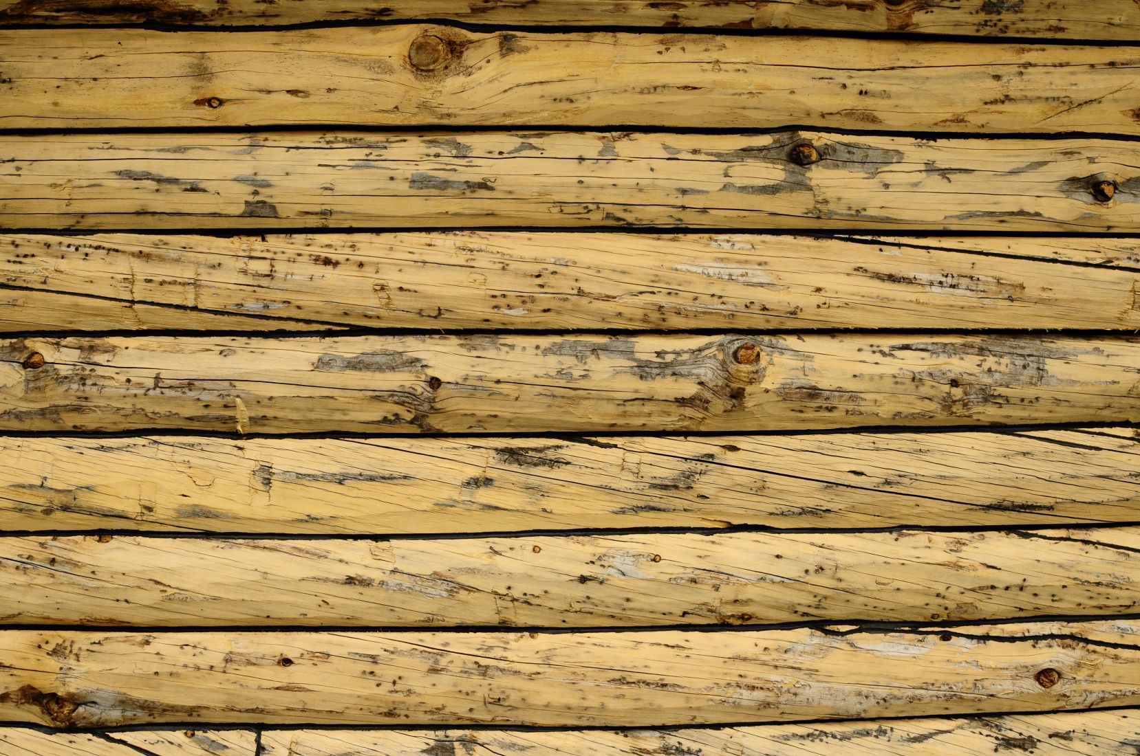 Close View of the Rustic Log Wall